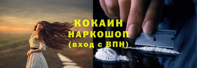 Cocaine Fish Scale  купить наркотик  дарк нет телеграм  Знаменск 